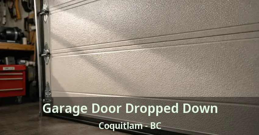 Garage Door Dropped Down Coquitlam - BC